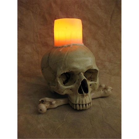 Skeletons And More Skeletons And More DIS-575 Lighted Skull With Bone & Wax Candle DIS-575